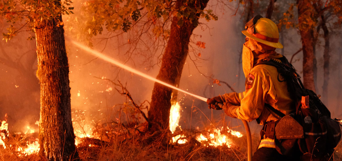 INCENDIOS FORESTALES (4-234-462-45147-1-2020)